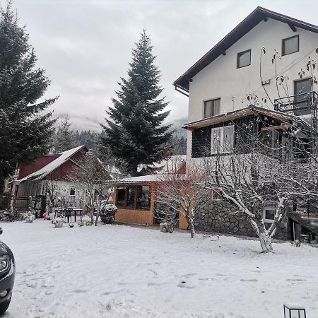 Zoso Home Buşteni Exterior foto